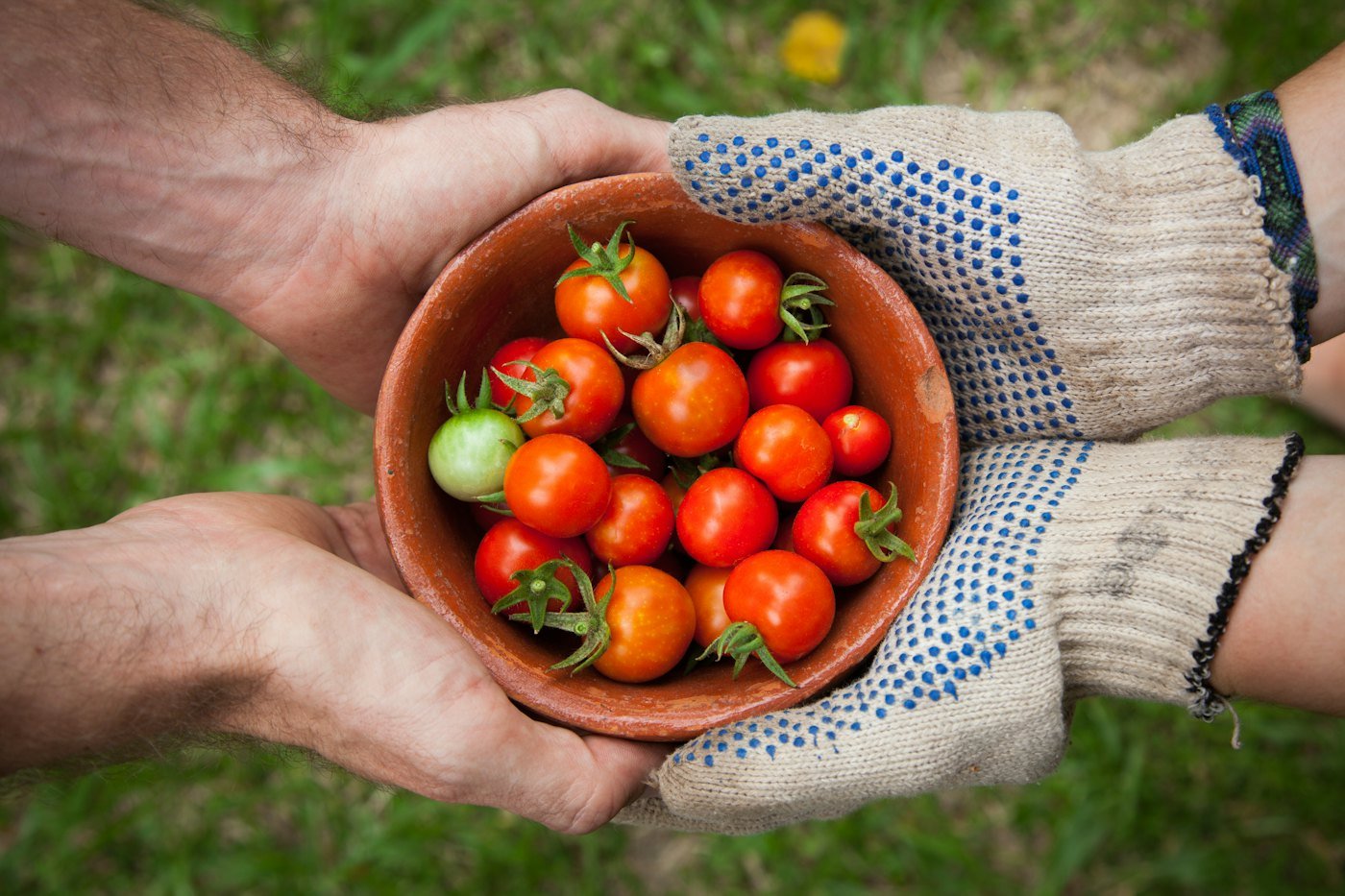 Sunhill Gardens — where Lakshmi Bellie grows for us
