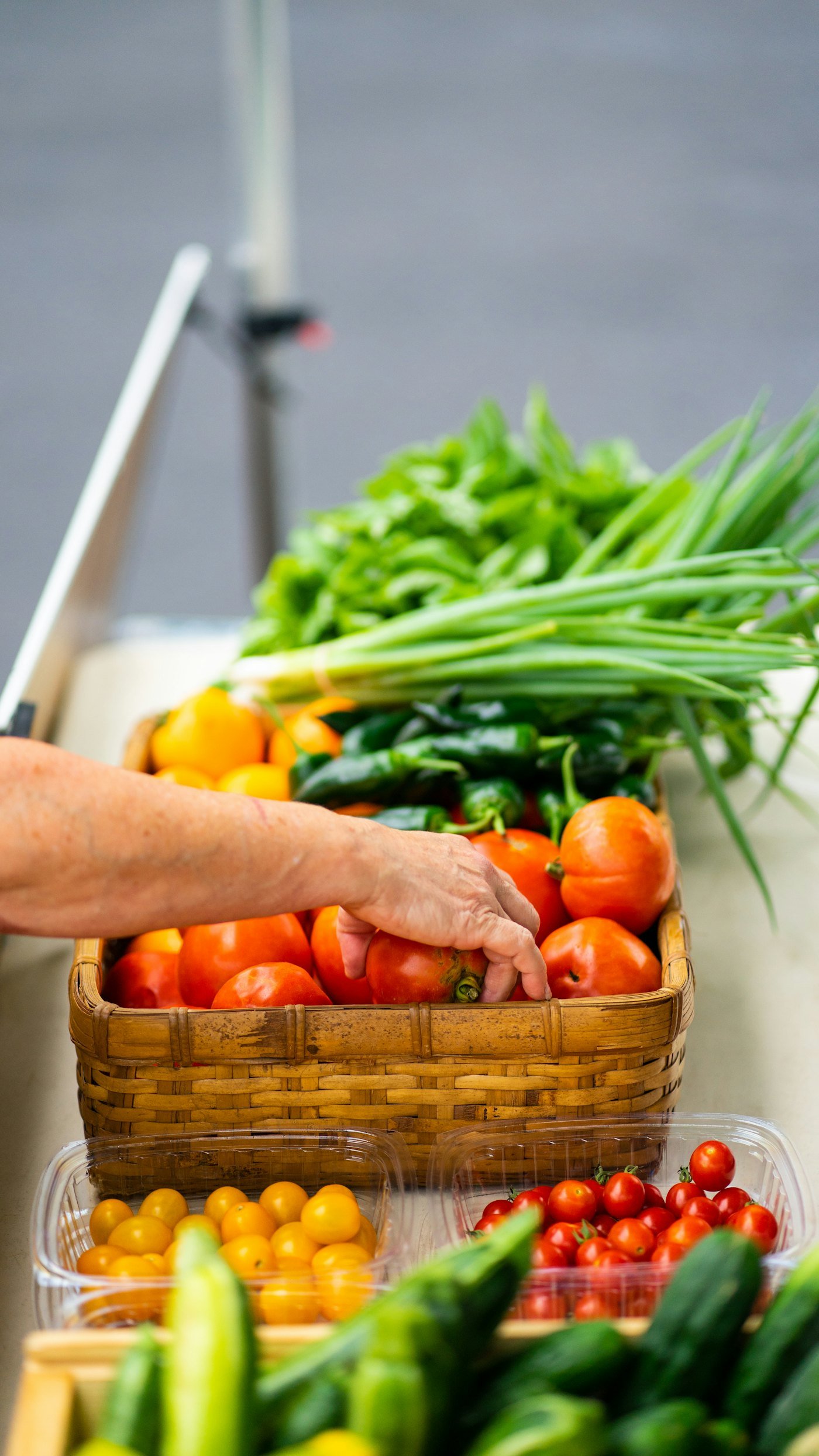 Crates of fresh vegetables from partner farms